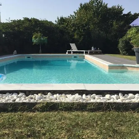 Проживание в семье Blue Fish